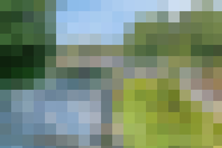 Image 30