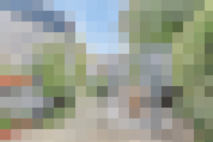 Image 26