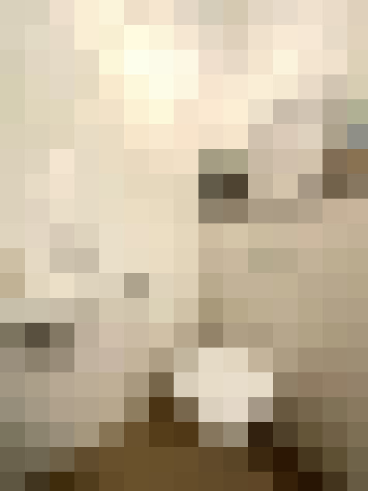 Image 25