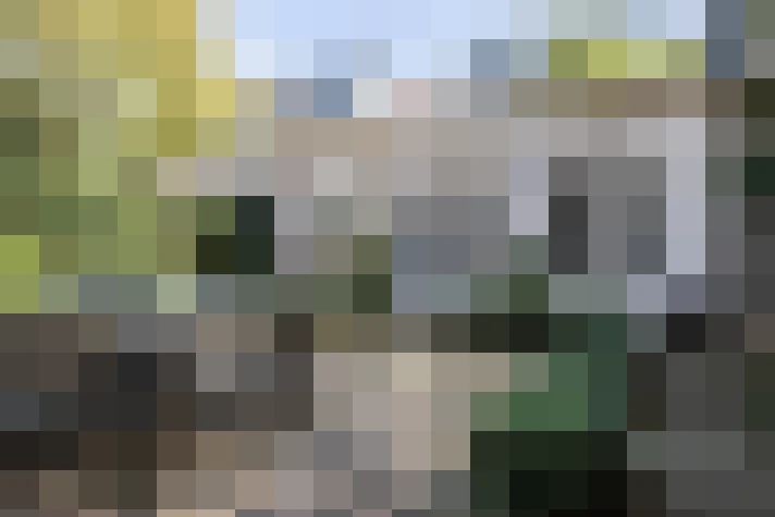 Image 38