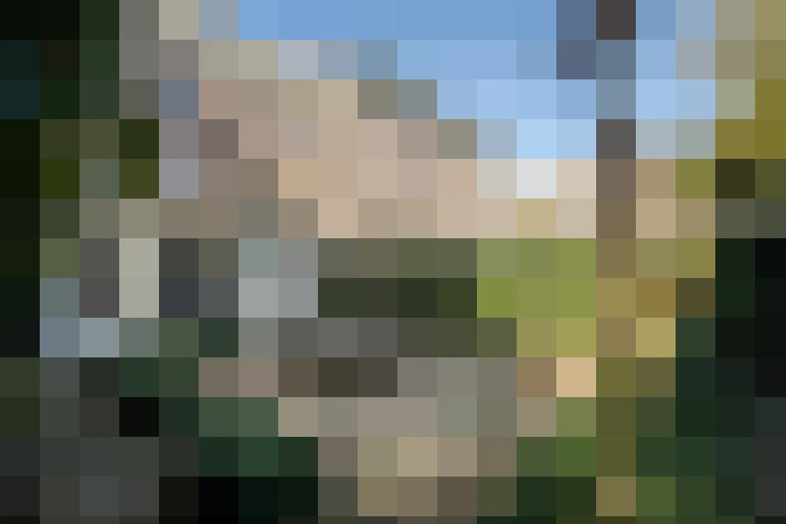 Image 40