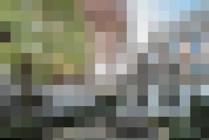 Image 36