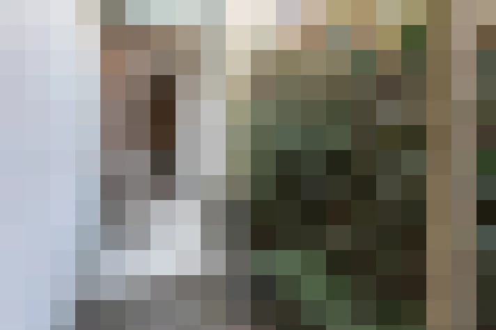Image 33