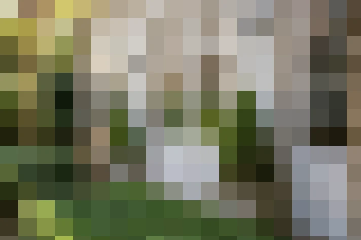 Image 39