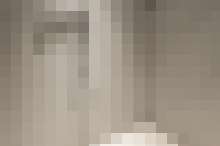 Image 20