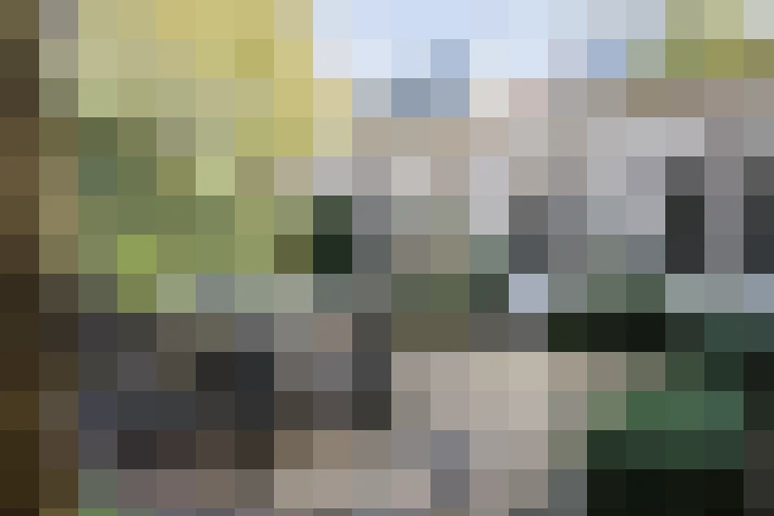 Image 35