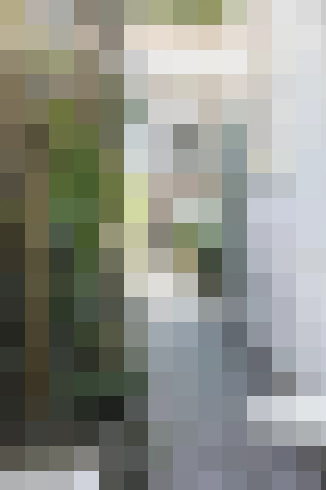 Image 34