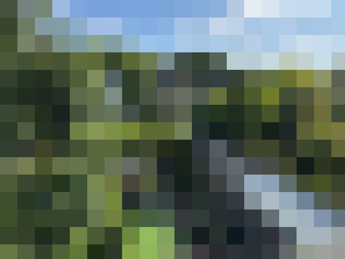 Image 40