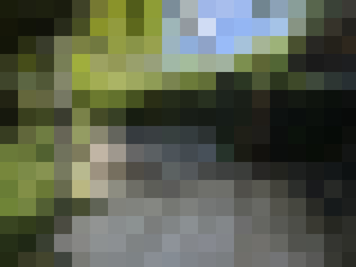 Image 25