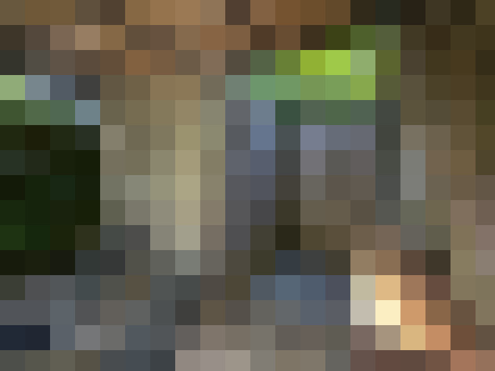 Image 27