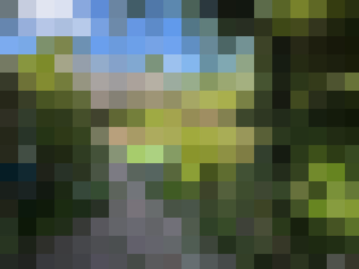 Image 28