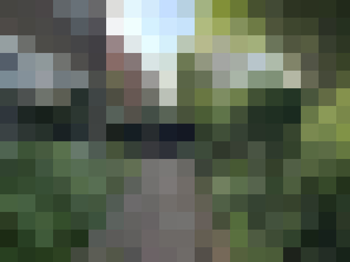 Image 42