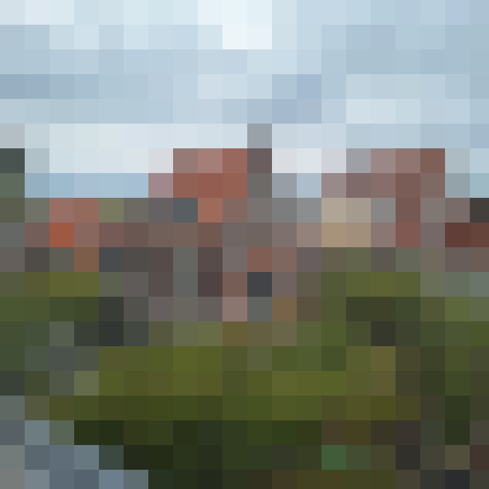 Image 20