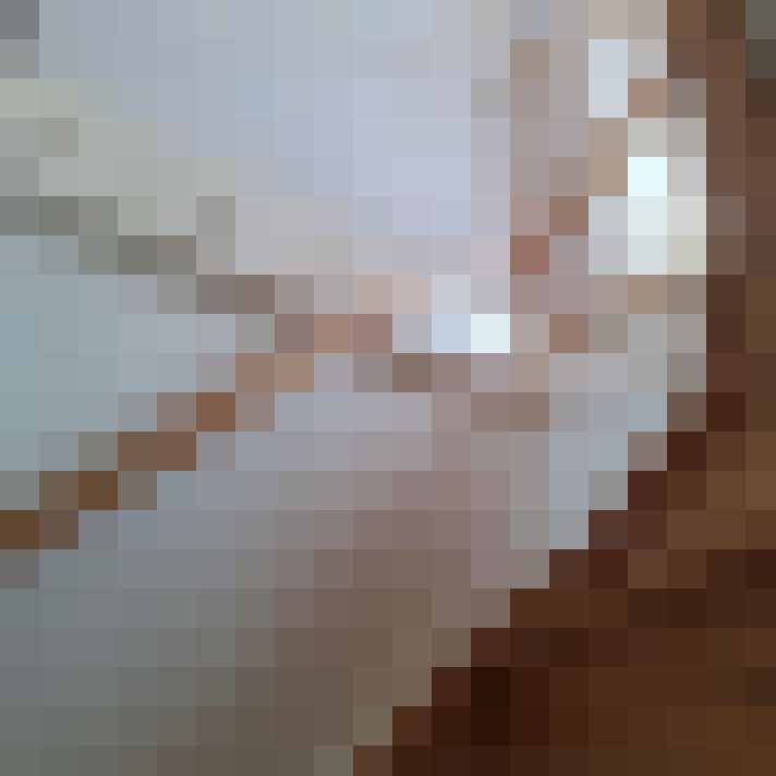 Image 29