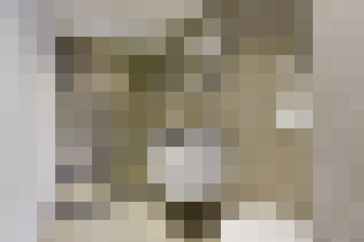 Image 23