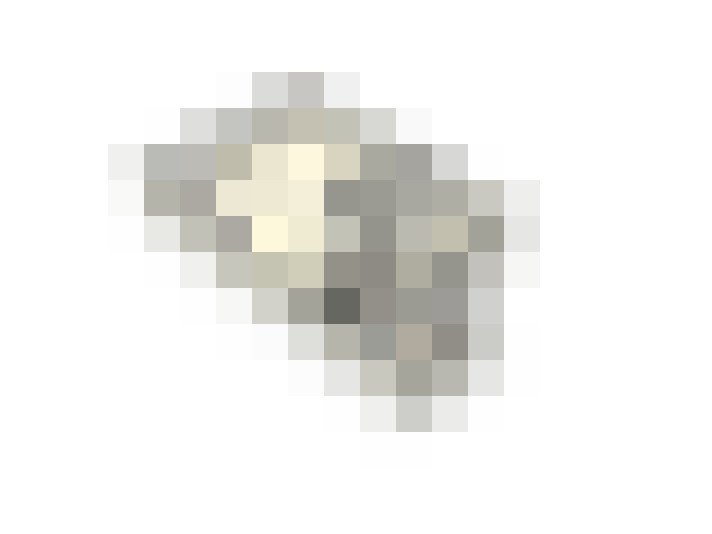 Image 32