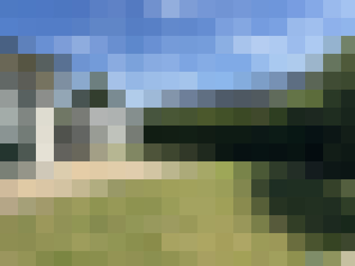 Image 17