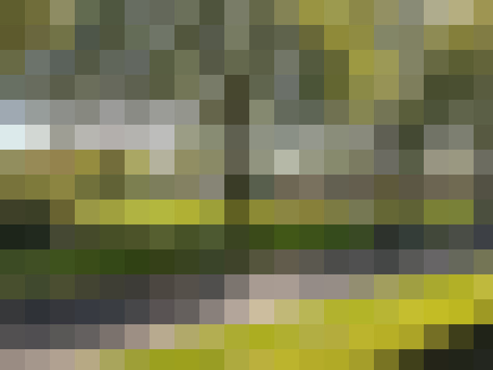 Image 22