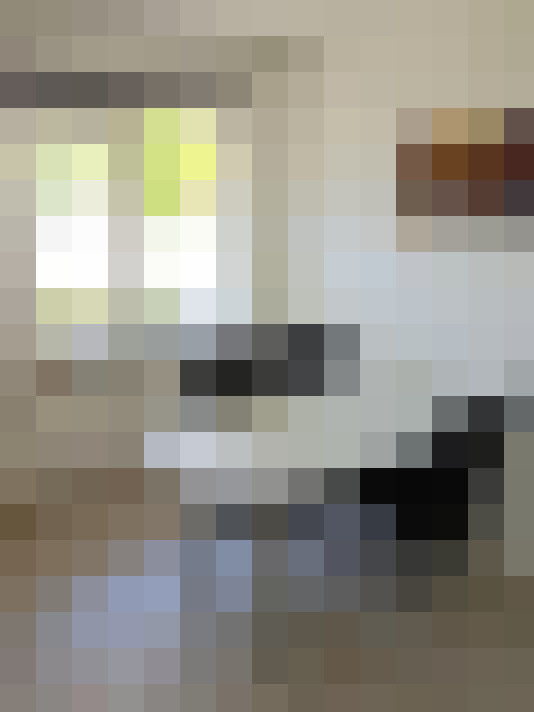 Image 13