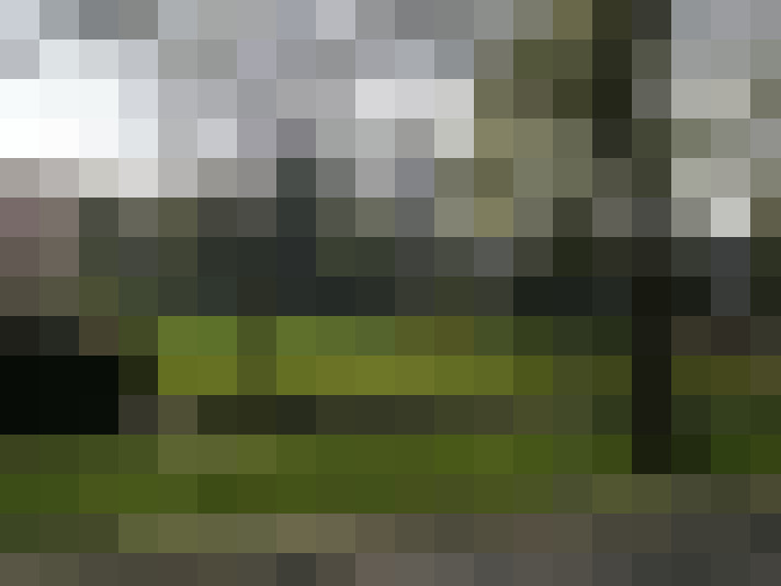 Image 23