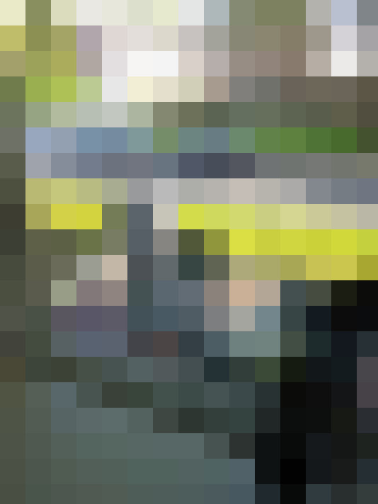 Image 14