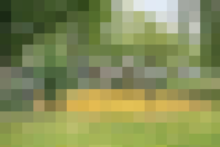 Image 25