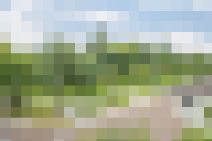 Image 23