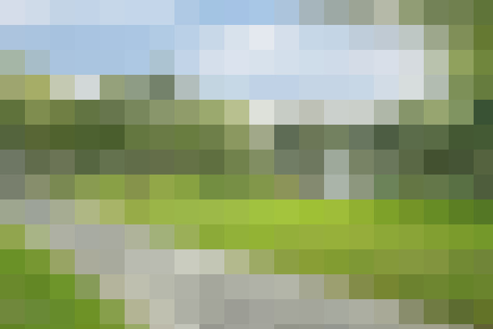 Image 24