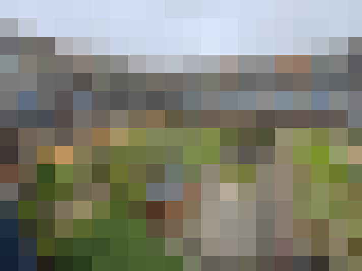 Image 13
