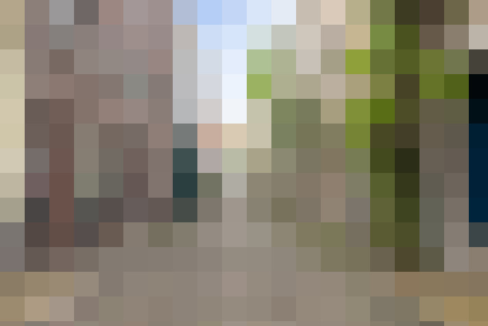 Image 15
