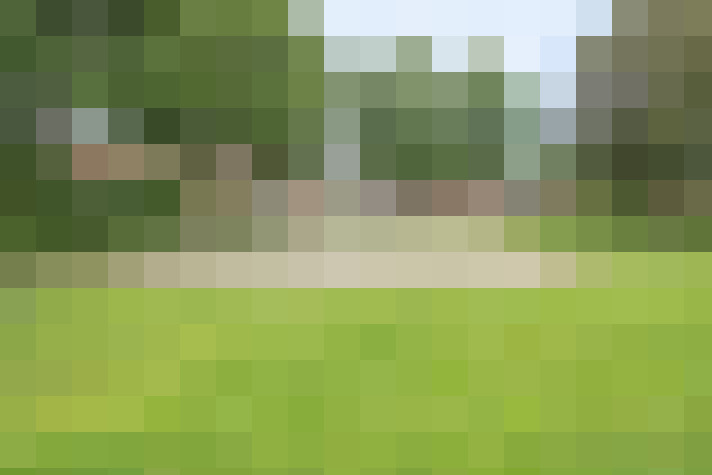 Image 41