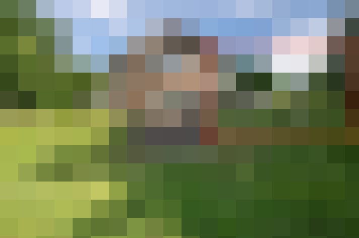 Image 25