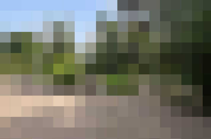 Image 23
