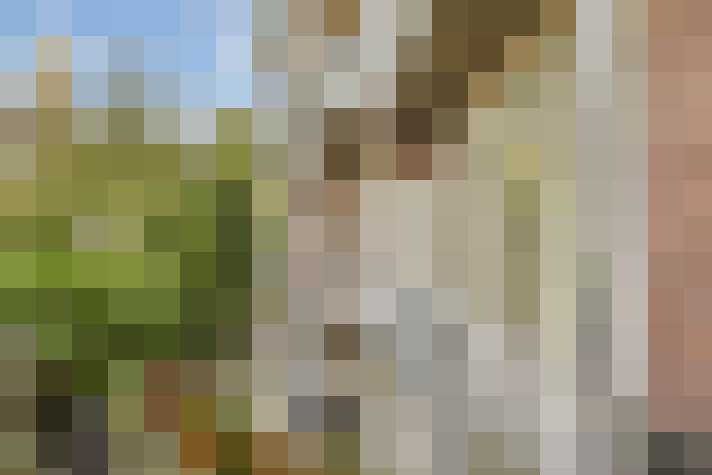 Image 18