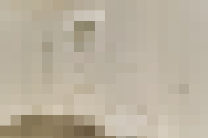 Image 20