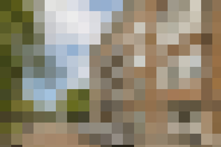 Image 23