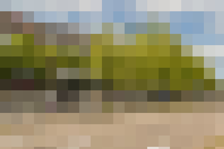 Image 25