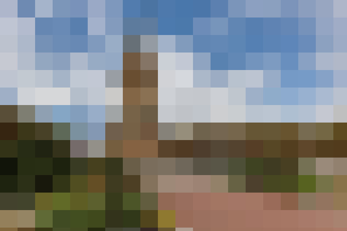 Image 44