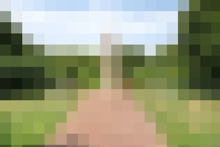 Image 32