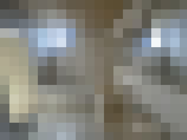 Image 22