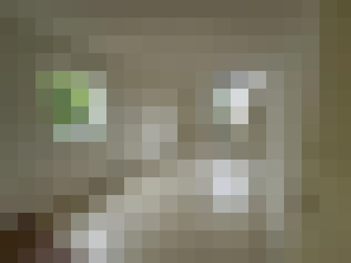 Image 16