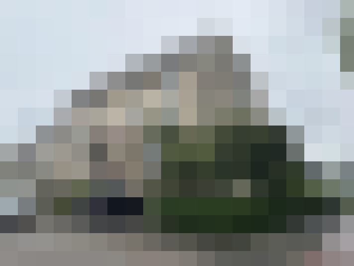 Image 31