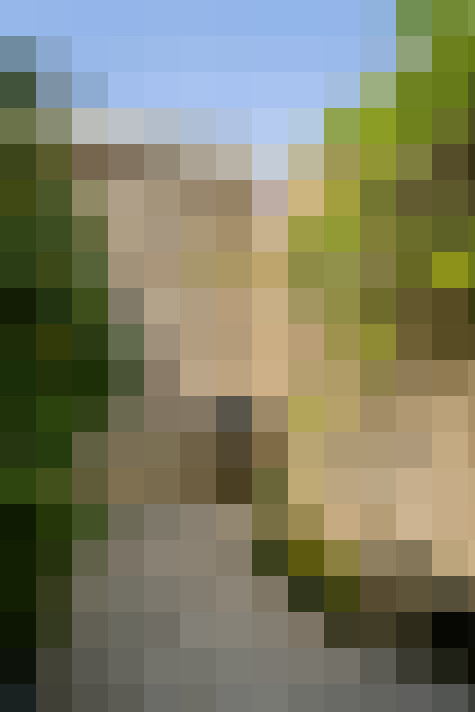 Image 42