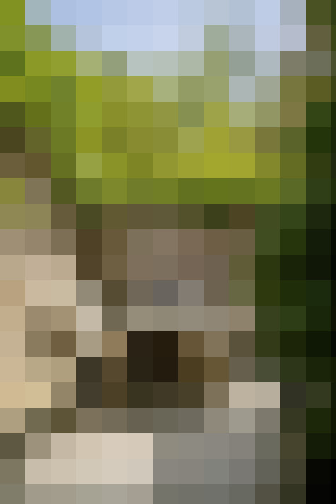 Image 40