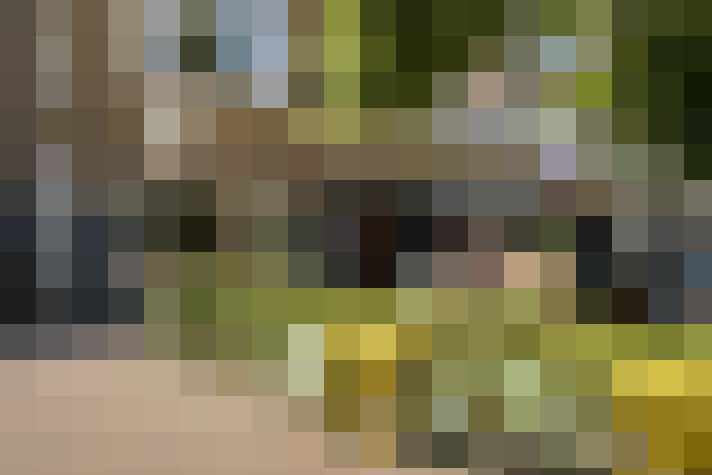 Image 52