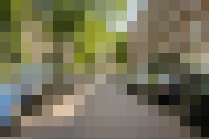 Image 47