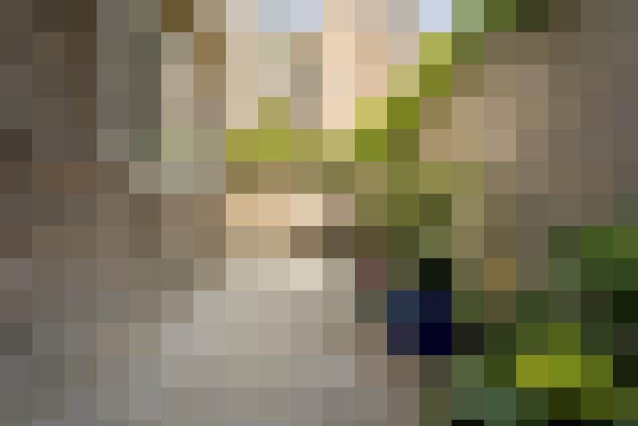 Image 34