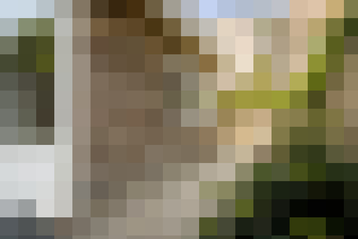 Image 35