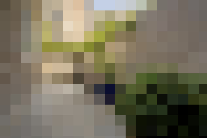 Image 33