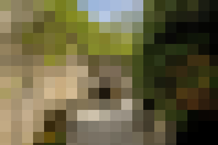 Image 41